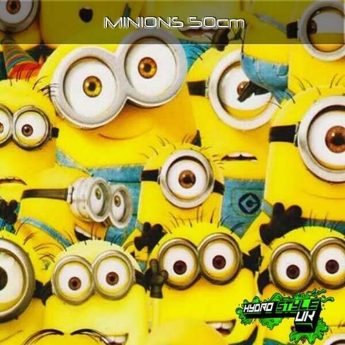 Rolled minions hydrographics - -,