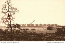 Picture Postcard__Rotherham, Herringthorpe Fields