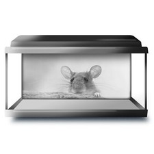 Fish tank background 90x45cm - tank,