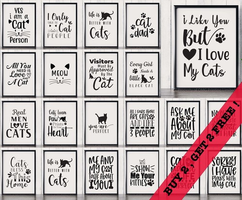 Cat kitten pet funny quote - pet,