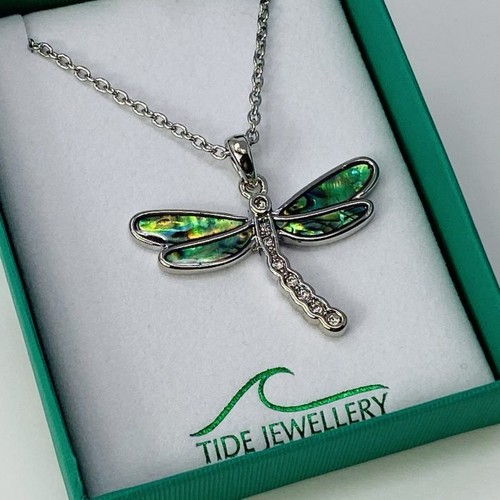 Dragonfly paua shell - dragonfly,