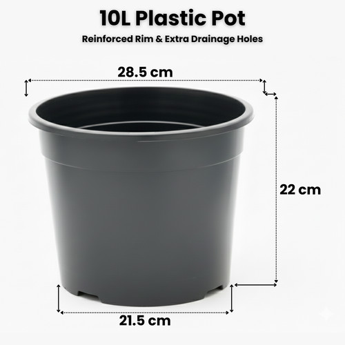 Black plastic plant pots - plant,