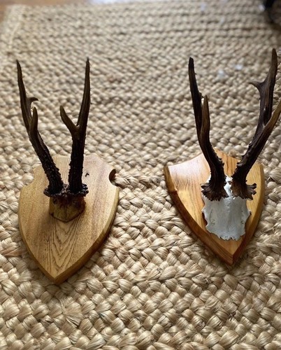 Sweet pair decorative - sweet, of