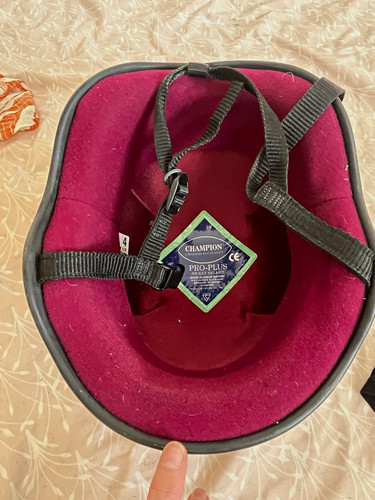 Champion pro plus adult - pro-plus, riding