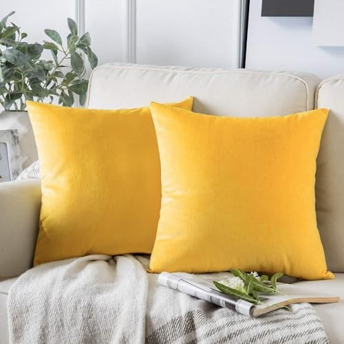 Amfun set velvet cushion - amfun,