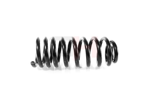 Rear suspension spring for - rear,