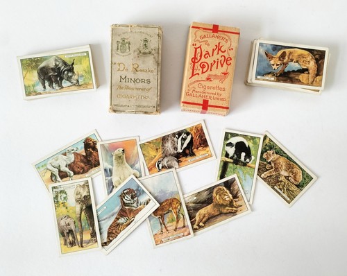 Cigarette cards park drive de - park,