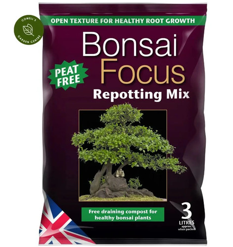 Growth technology bonsai focus - growth,