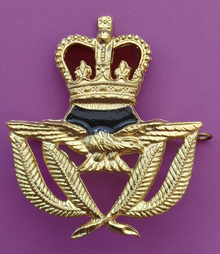 Raf warrant officers - warrant, royal