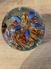 Murano Glass Aquarium