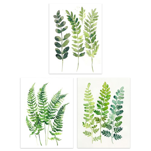 Set fern fronds leaves - of, 3
