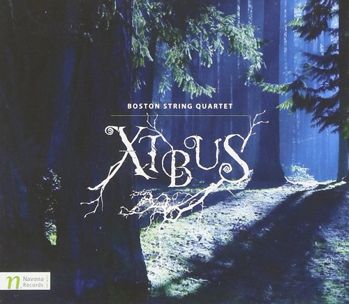 Boston string quartet boba - boston,