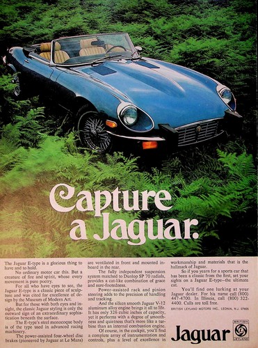 1974 jaguar type sports car - sports,