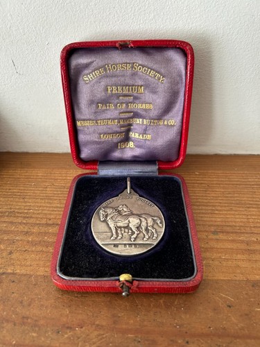 Antique boxed silver shire - antique,