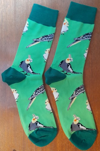 Novelty cockatiel socks white - novelty,