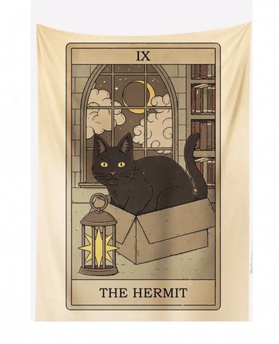 The hermit cat - cat, tarot