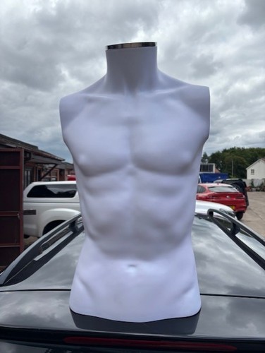 Half body torso - half,