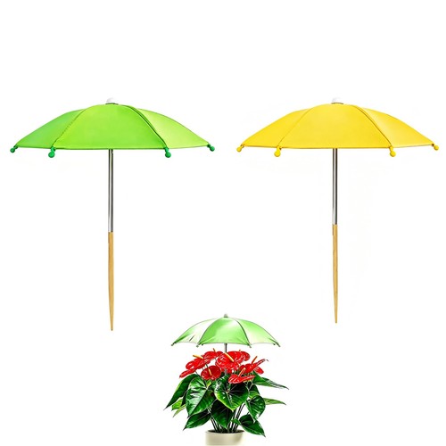 Pack plant umbrellas - 2,