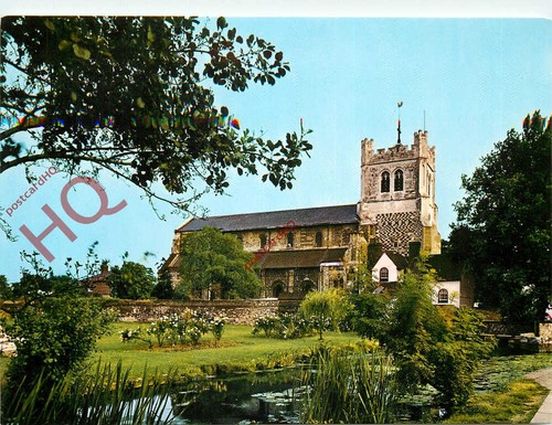Picture postcard waltham - postcard_,