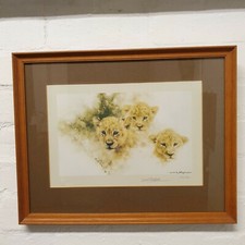 David Shepherd Signed Limited