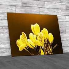 Tulip Flowers Yellow Canvas Print Large Picture Wall Art