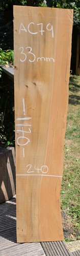 Blue atlantic ceder live edge - live,