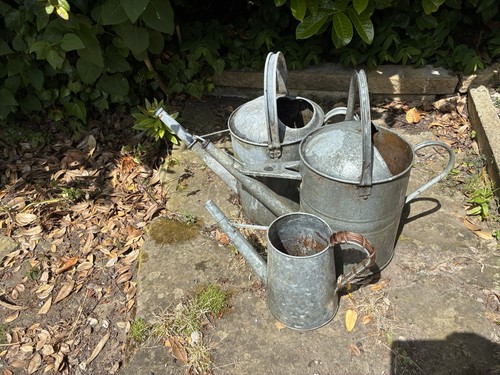 Three galvanised watering cans - three,