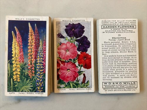 1939 wills garden - wills's, flowers