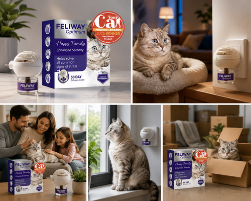 Feliway optimum cat - feliway,