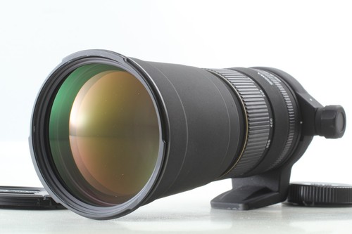 Mint sigma af - [mint+++],
