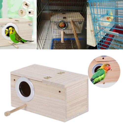 Finch security bird breeding - security,