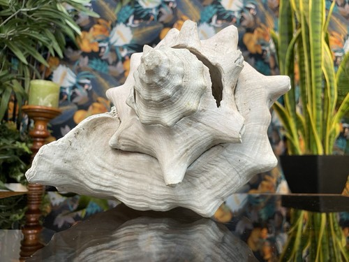 Vintage natural giant - vintage,