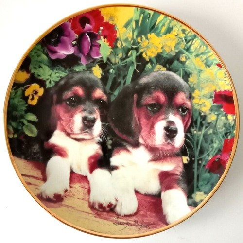 Franklin mint porcelain plate - porcelain,