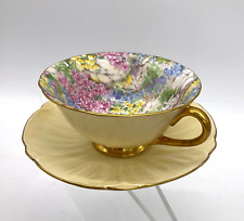 Shelley Oleander Fine Bone China Tea Cup & Saucer CHINTZ ROCK GARDEN 13415 L1