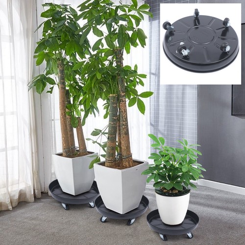 Pack plant dolly rolling - pack,