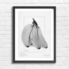 Botanical Vintage Botanical