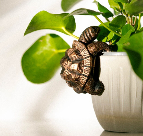 Tortoise plant pot hanger - tortoise,