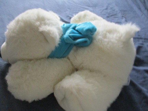 Cute soft and cuddly white