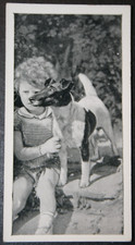 SMOOTH FOX TERRIER & CHILD