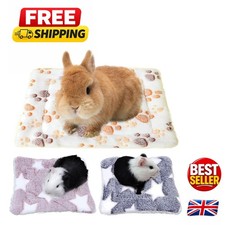 Warm Double-Layer Guinea Pig
