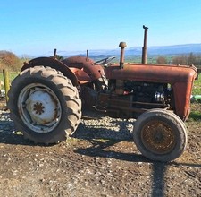 Massey Ferguson 35 Vintage MF