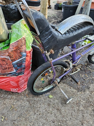 Purple raleigh tomahawk bike - bike,