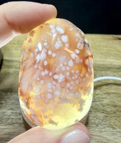 Crystal flower agate - crystal,