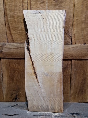 Live edge hornbeam slab - slab, (043)