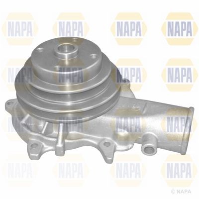 Napa water pump - water, for