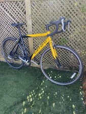 Carrera TDF Pro Men's Road