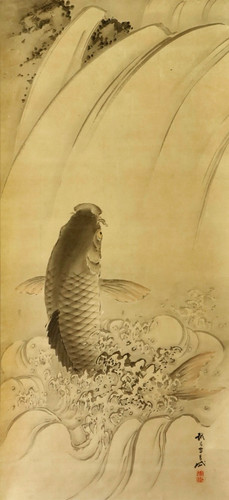 Japanese koi carp hanging - koi,