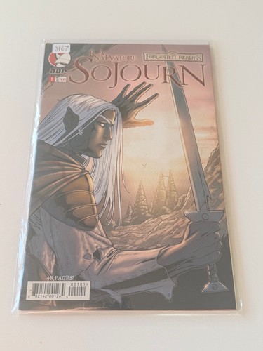 Forgotten realms sojourn - forgotten,