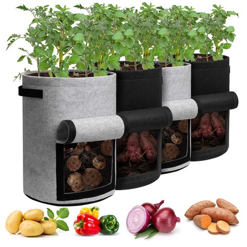 Homyhoo potato grow - potato, bags