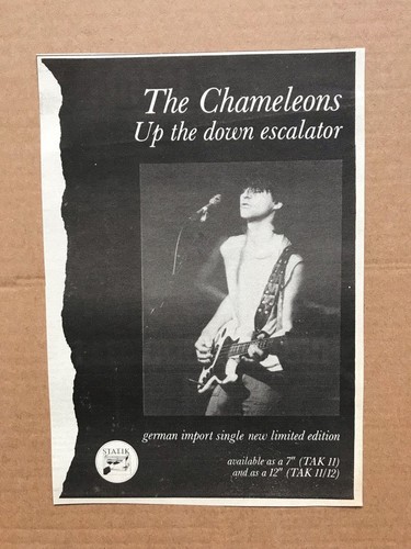 Chameleons the down - up,
